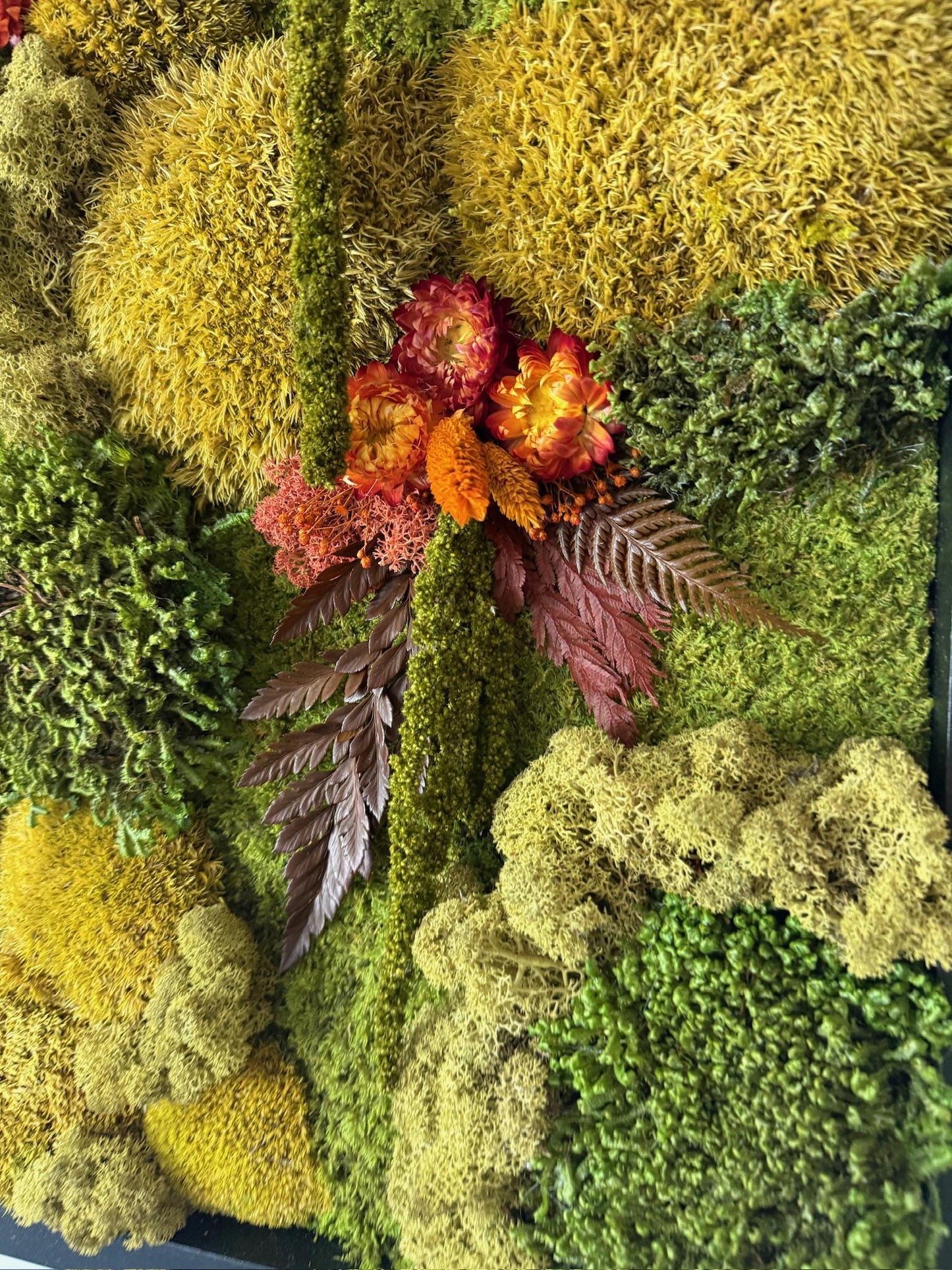 Preserved Moss Wall Art, 30" Square Wood Frame, Floral Accent | USA - TARIFF FREE