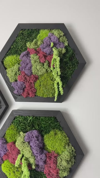 Reindeer Moss Wall Art: Hexagon Wood Frame, Preserved Nature Decor | USA - TARIFF FREE (Copy)