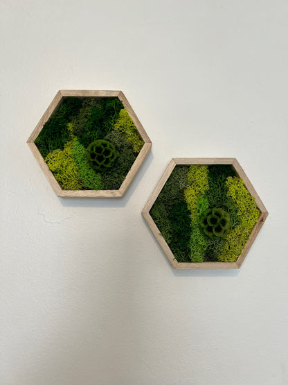 Shades of Green & Scabiosa Flowers - Hexagon - Walnut