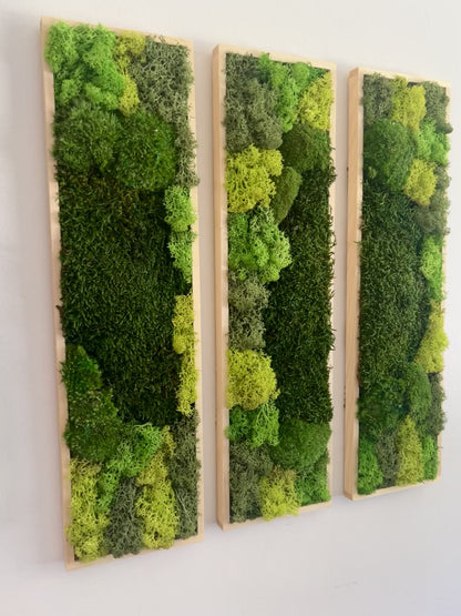 Long Rectangle Preserved Moss Decor - 18" by 5" - Pole & Reindeer Moss