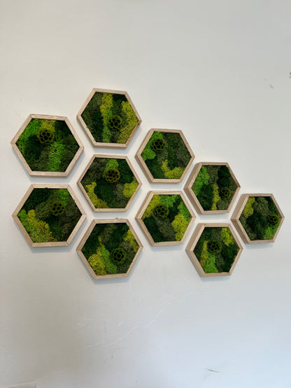 Shades of Green & Scabiosa Flowers - Hexagon - Walnut