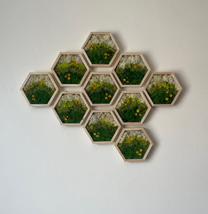 Meadow - Hexagon - Dark Green, Spring Green & White