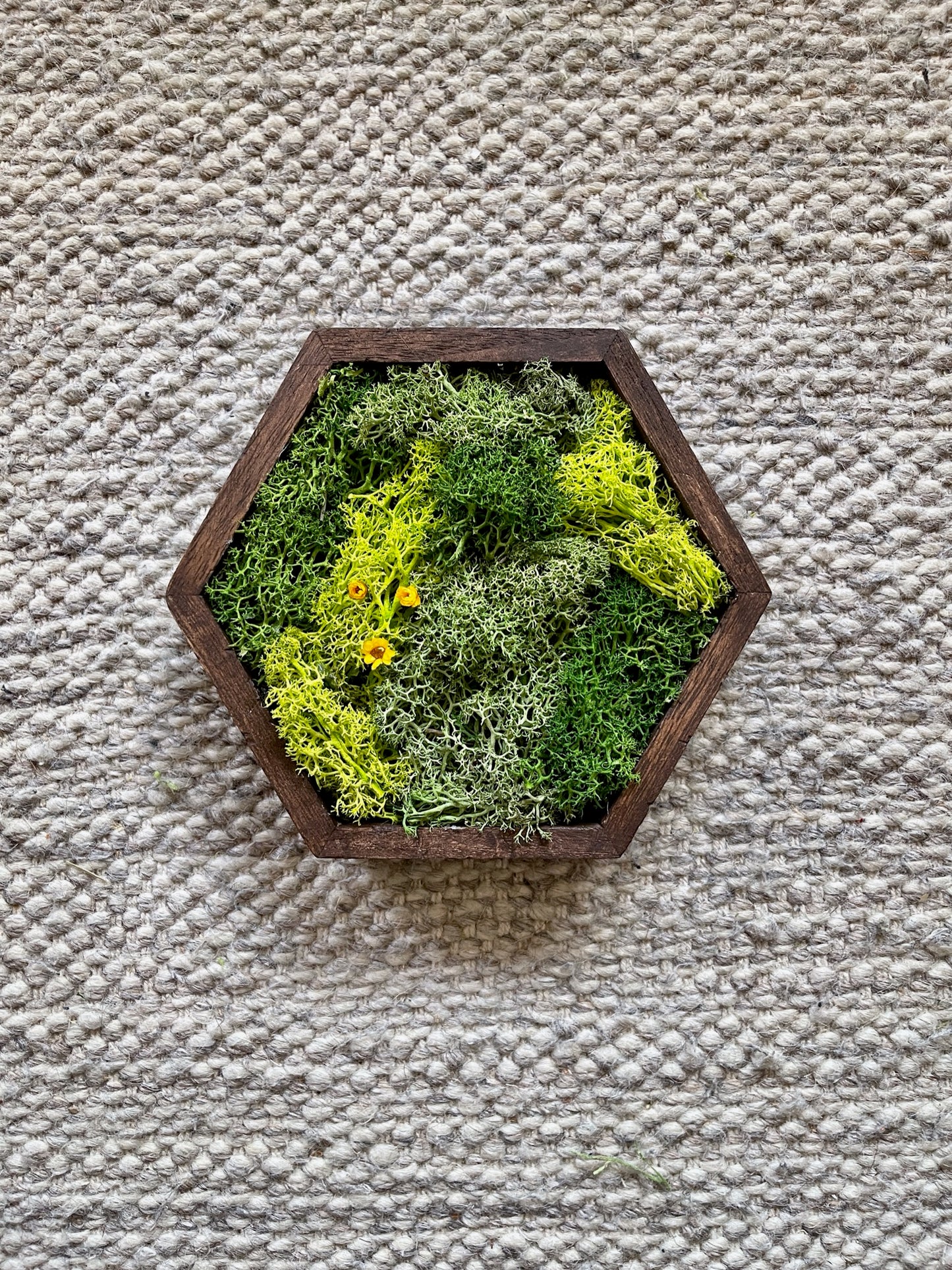 Hexagon Moss Wall Art - 5" by 6" - Green with Yellow Flowers