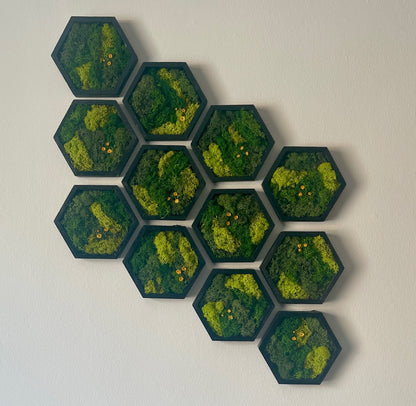 Hexagon Moss Wall Art - 5" by 6" - Green with Yellow Flowers