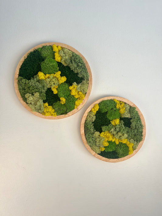Moss Wall Art Circle - Shades of Green and Yellow