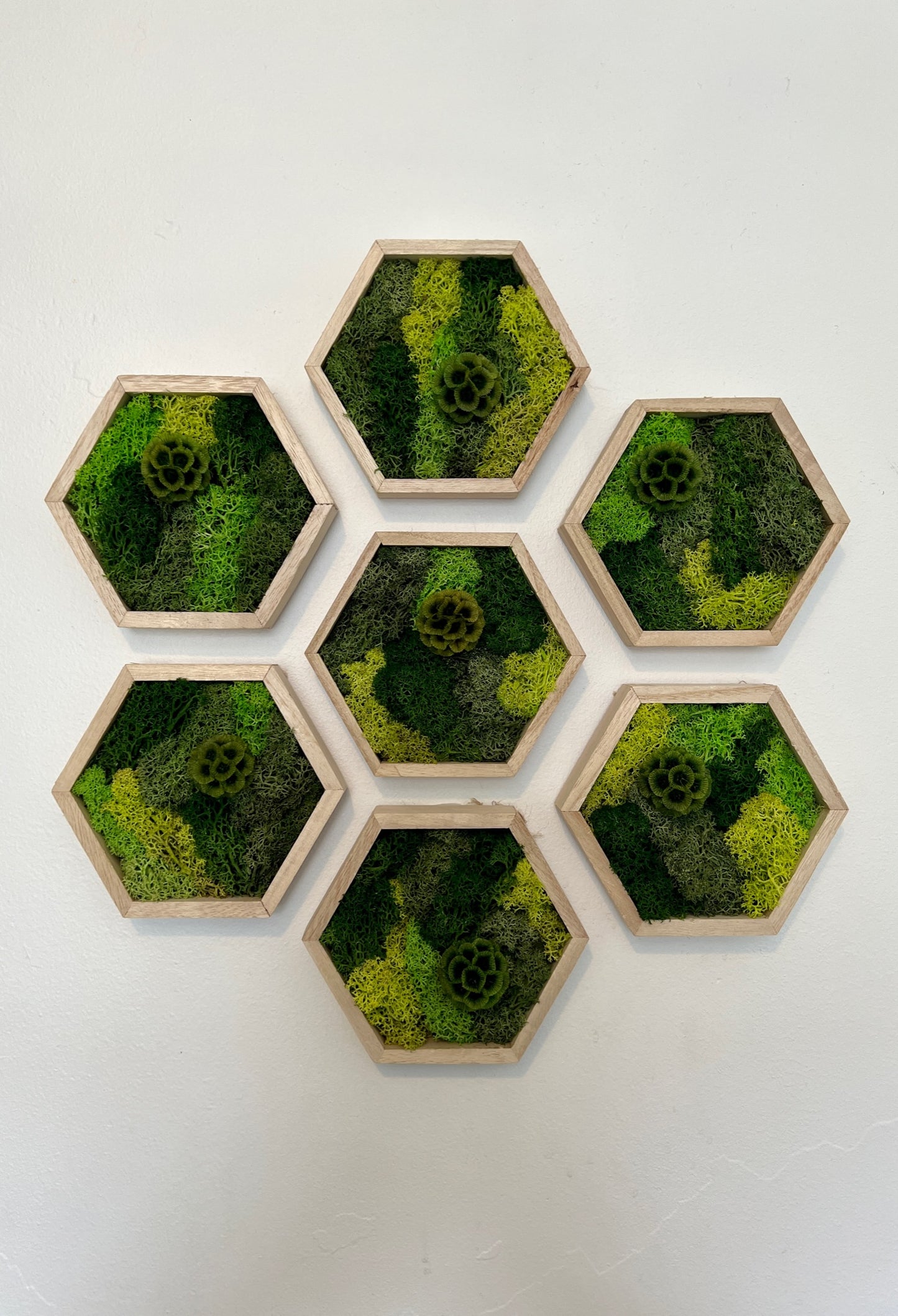 Shades of Green & Scabiosa Flowers - Hexagon - Walnut