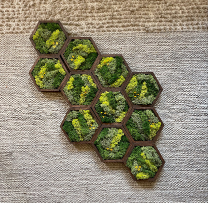 Hexagon Moss Wall Art - 5" by 6" - Green with Yellow Flowers