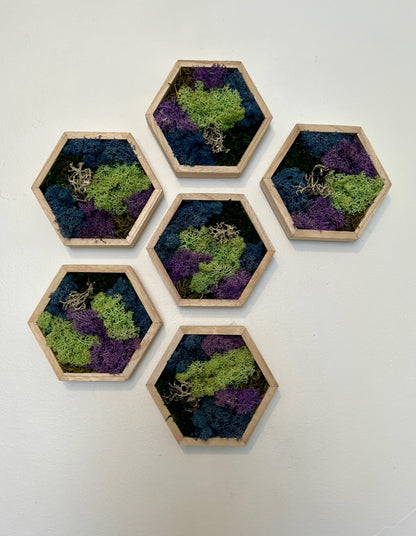 Green, Blue, Purple & Bark - 5" by 6" - Hexagon - Reindeer Moss Collection