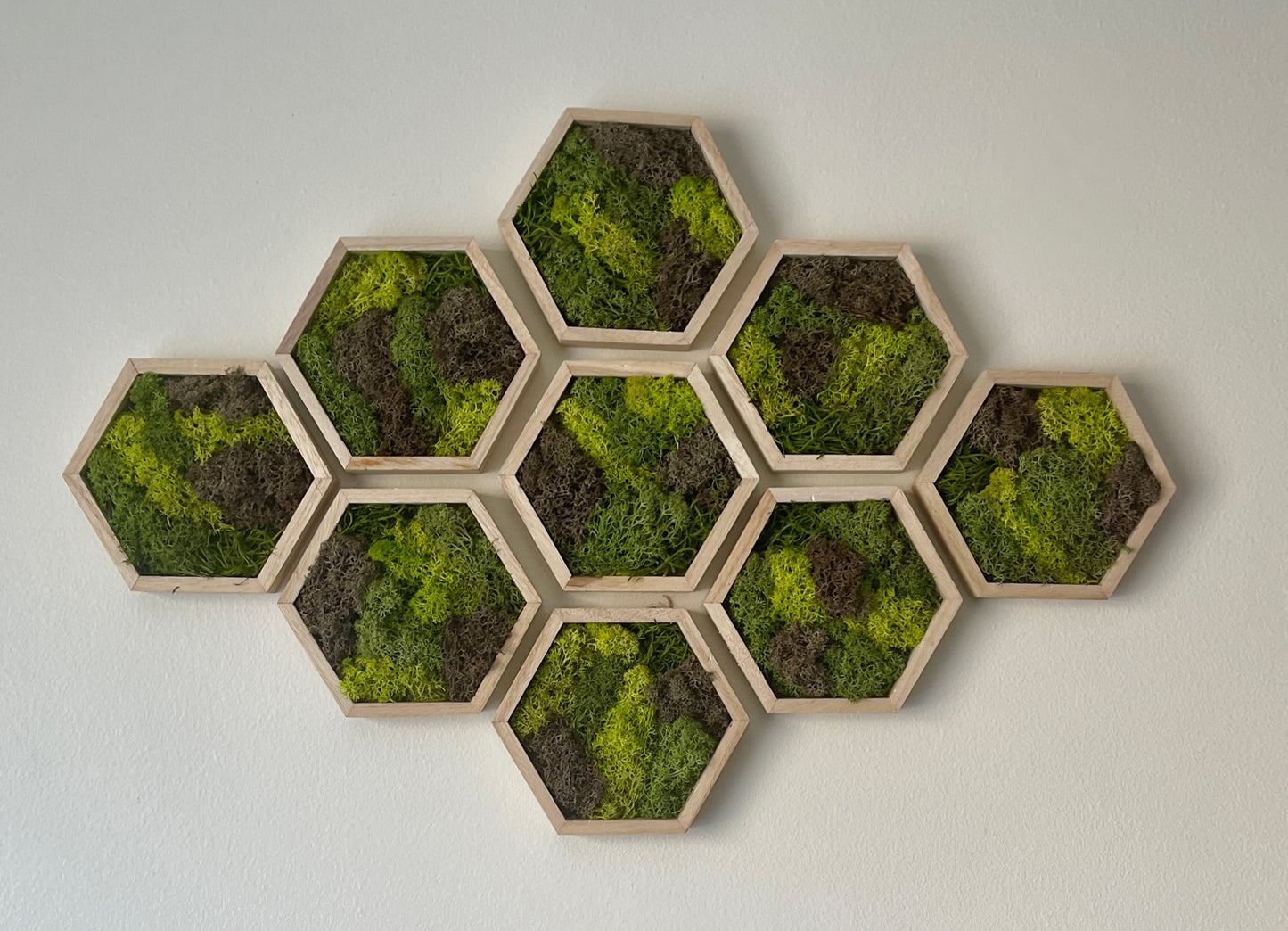 Greens & Brown - Hexagon - 5" by 6" - Reindeer Moss Collection