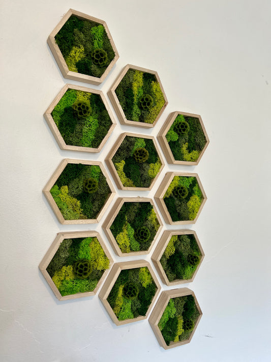 Shades of Green & Scabiosa Flowers - Hexagon - Walnut