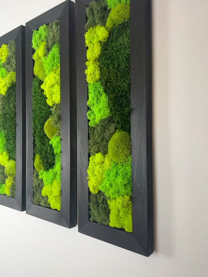 Large Rectangle Preserved Moss Decor - Shades of Green