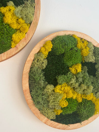 Moss Wall Art Circle - Shades of Green and Yellow