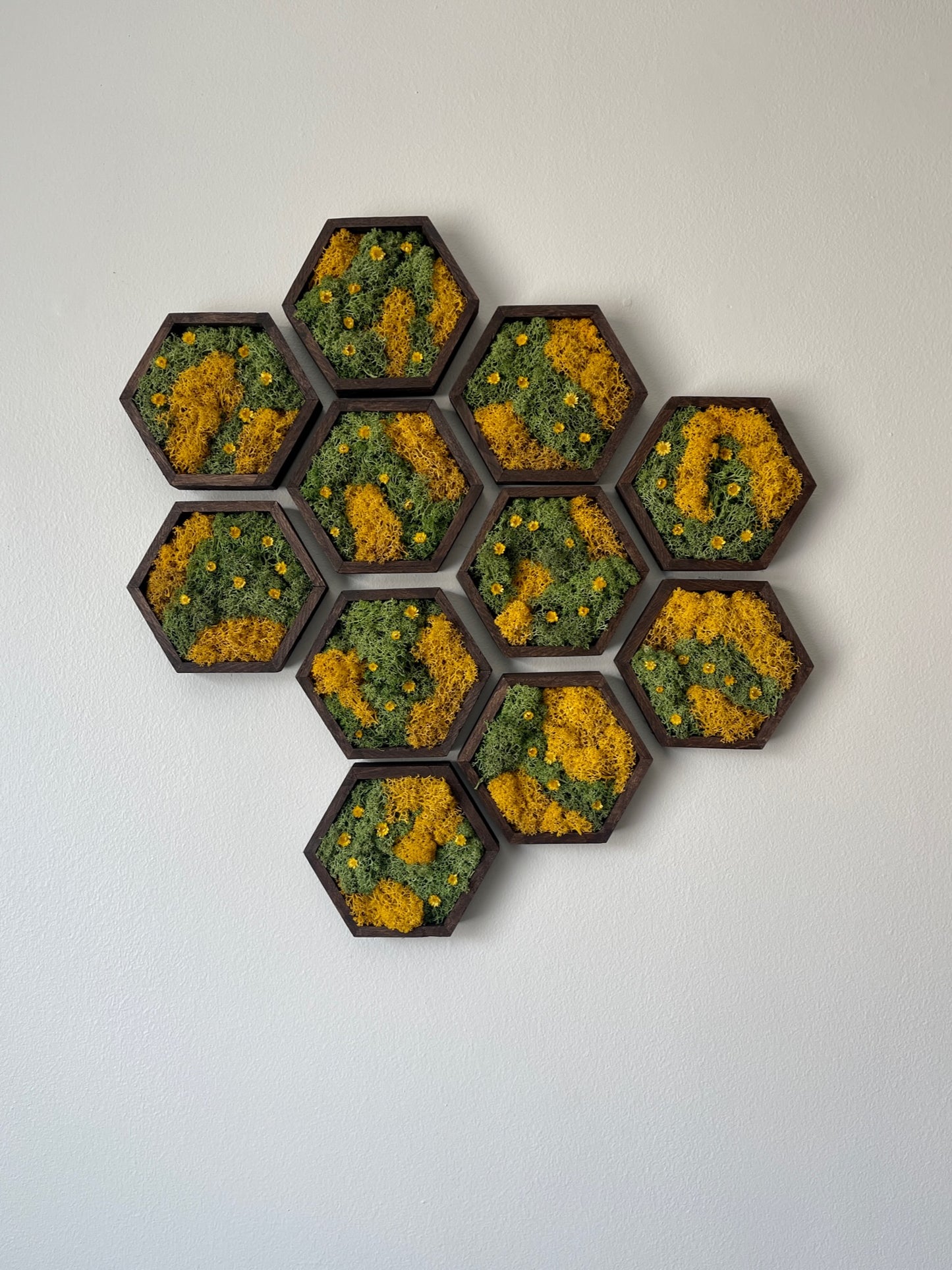 Hexagon Moss Wall Art - 5" by 6" - Green and Yellow/Orange Reindeer Moss