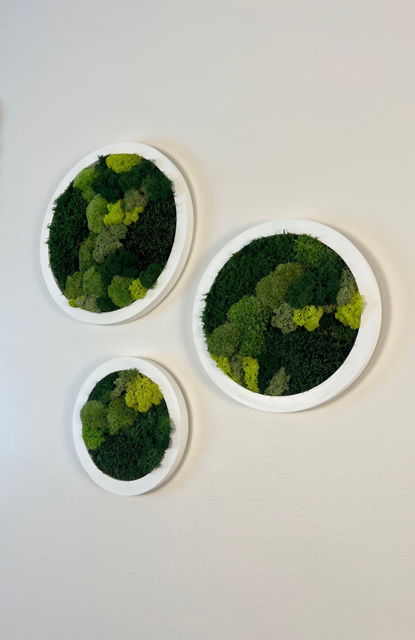 Circle Trio - Shades of Green - White Frame