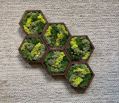 Hexagon Moss Wall Art - 5" by 6" - Green with Yellow Flowers