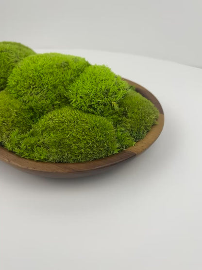 Brown Tray - Beautiful Green - Centrepiece - One of a Kind