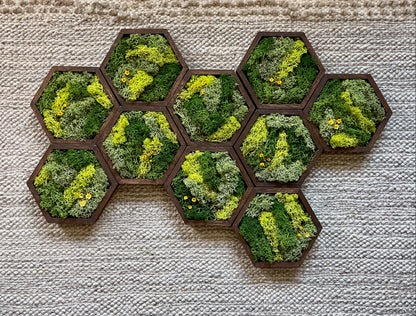 Hexagon Moss Wall Art - 5" by 6" - Green with Yellow Flowers