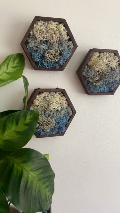 Ice, Snow & Water - 5" by 6" Hexagon - White, Light Blue, Dark Blue & Bark