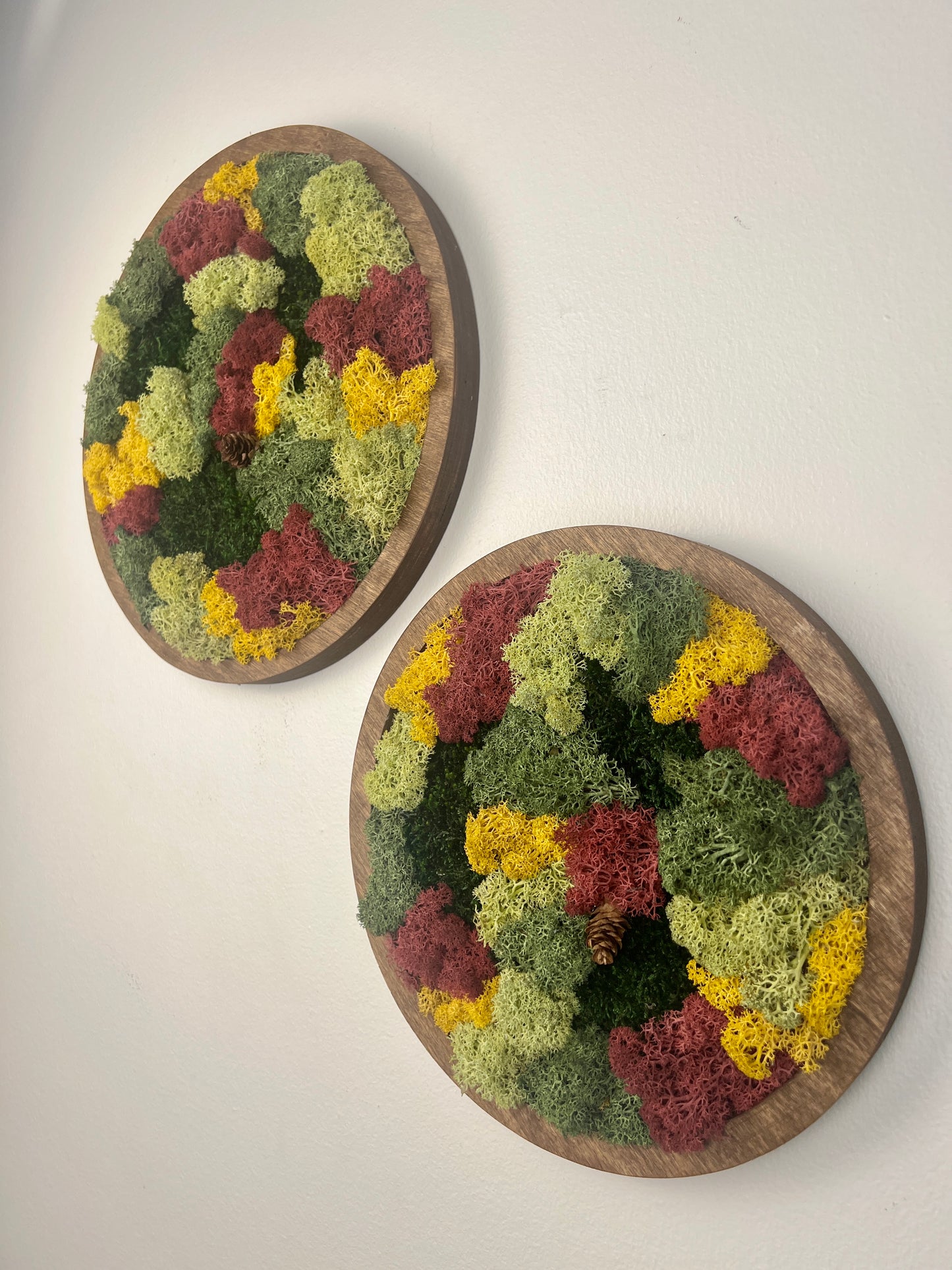 Moss Wall Art Circle - Shades of Green and Burgundy