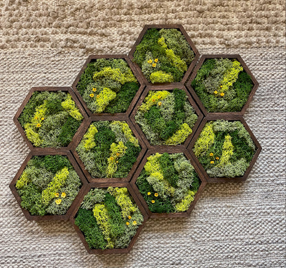 Hexagon Moss Wall Art - 5" by 6" - Green with Yellow Flowers