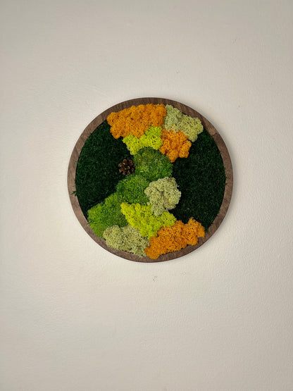 Moss Wall Art Circle - Shades of Green and Orange