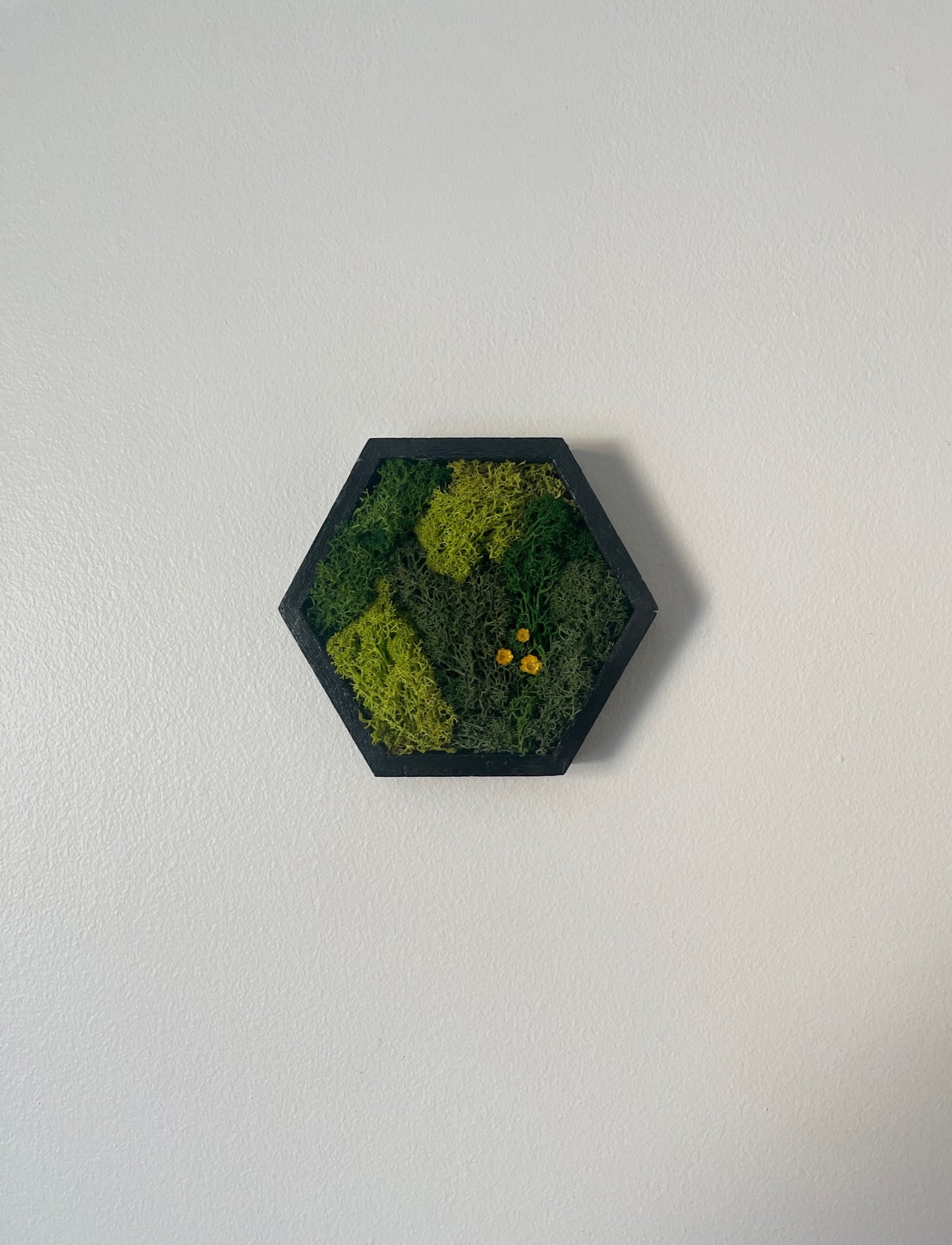 Hexagon Moss Wall Art - 5" by 6" - Green with Yellow Flowers