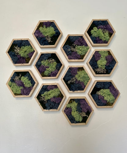 Green, Blue, Purple & Bark - 5" by 6" - Hexagon - Reindeer Moss Collection