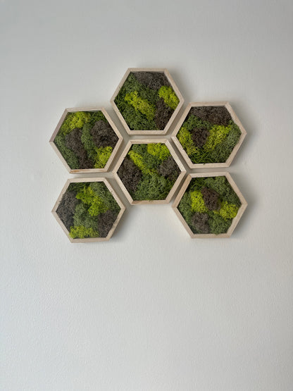 Greens & Brown - Hexagon - 5" by 6" - Reindeer Moss Collection