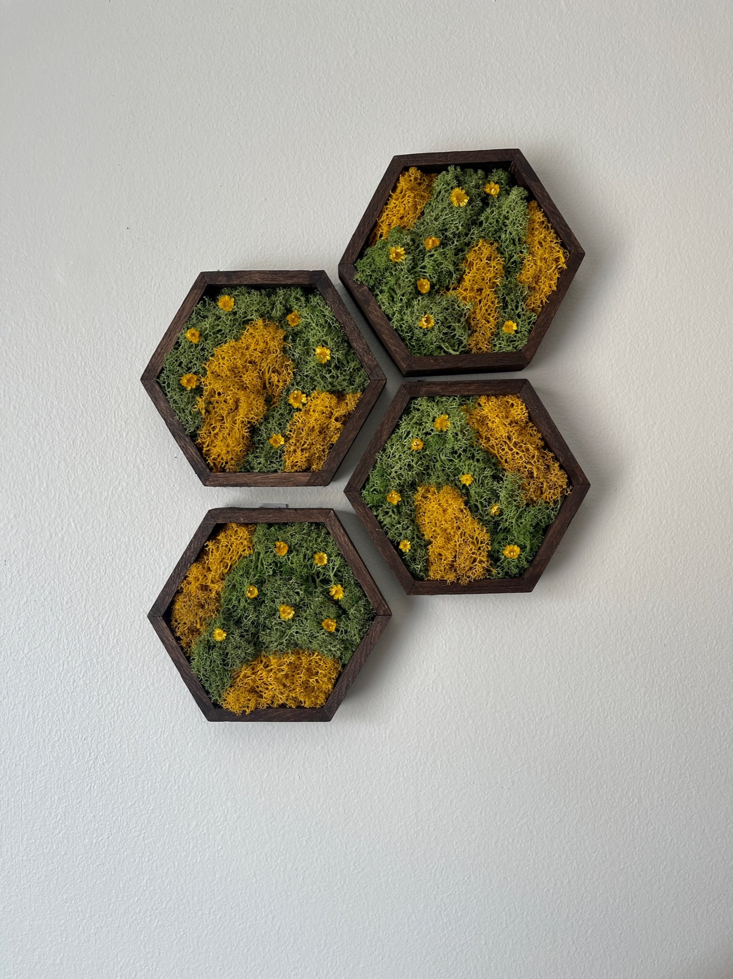 Hexagon Moss Wall Art - 5" by 6" - Green and Yellow/Orange Reindeer Moss