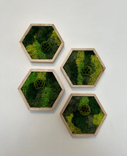 Shades of Green & Scabiosa Flowers - Hexagon - Walnut