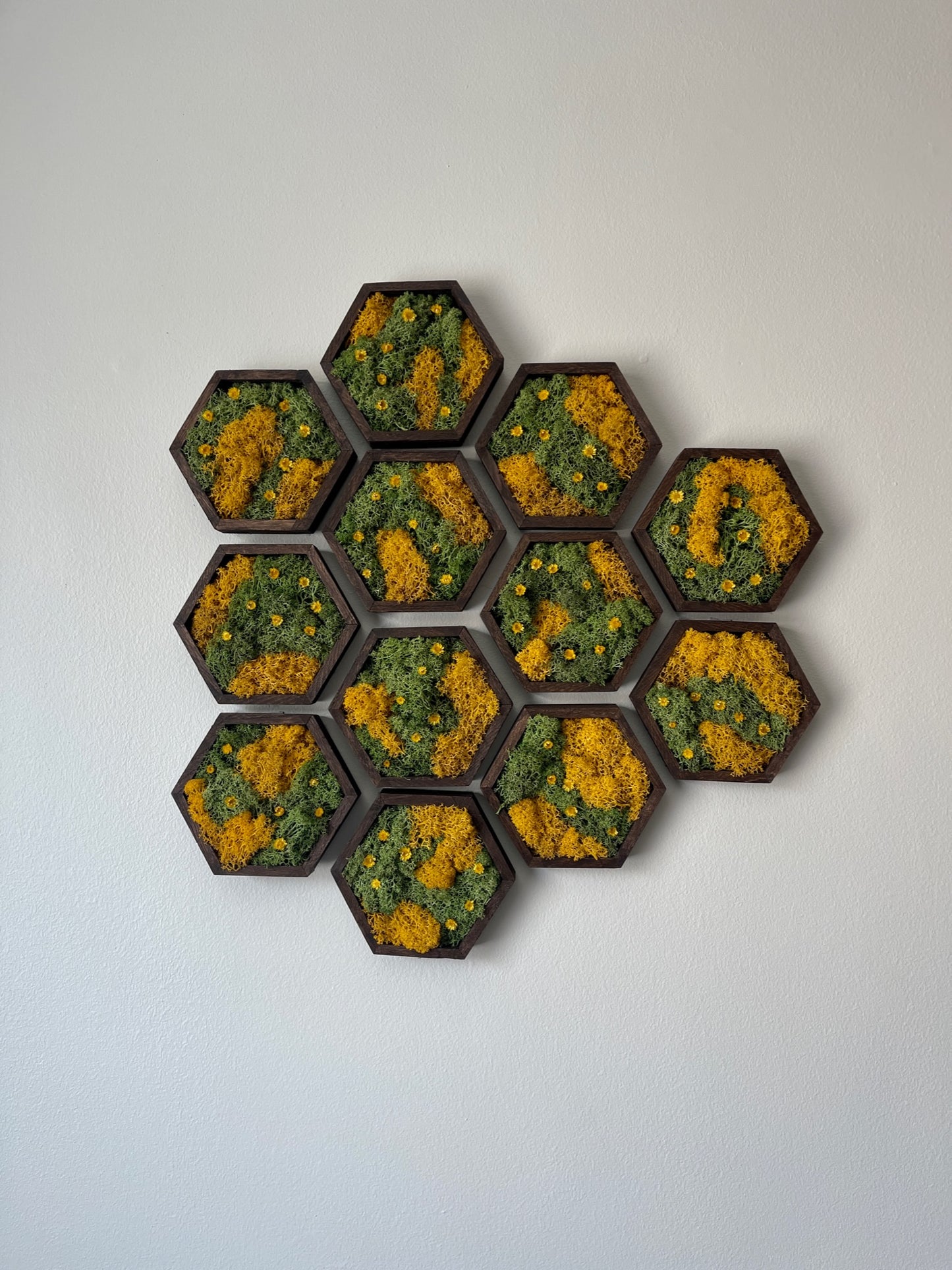 Hexagon Moss Wall Art - 5" by 6" - Green and Yellow/Orange Reindeer Moss