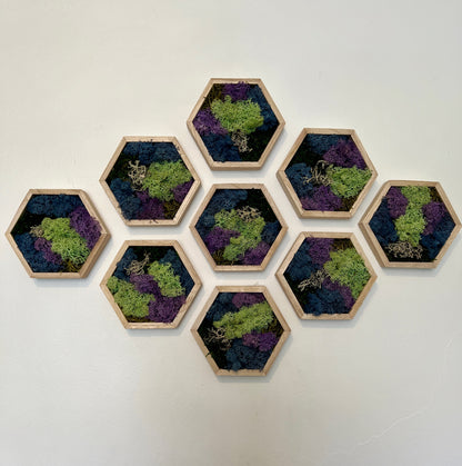 Green, Blue, Purple & Bark - 5" by 6" - Hexagon - Reindeer Moss Collection