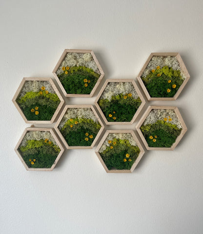 Meadow - Hexagon - Dark Green, Spring Green & White