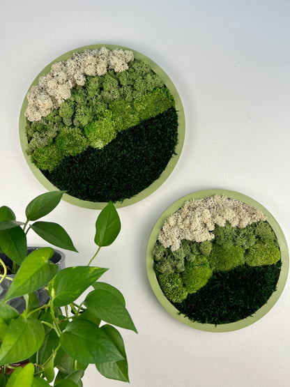 Moss Wall Art Circle -Ombre Shades of Green - Green Frame