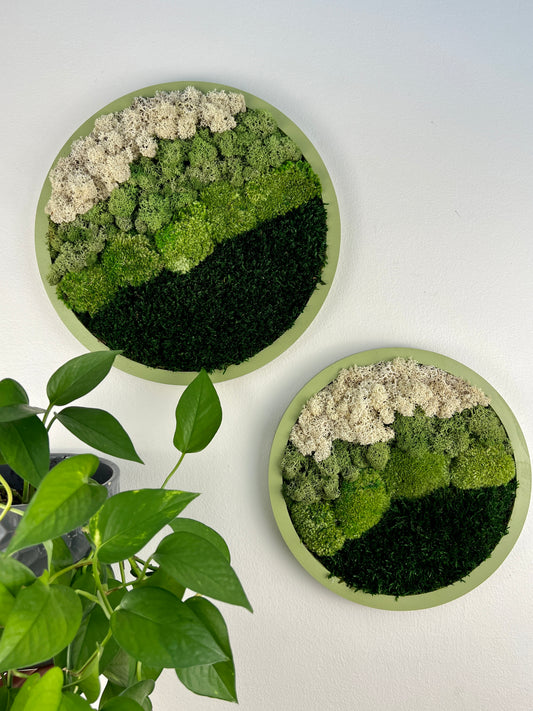 Moss Wall Art Circle -Ombre Shades of Green - Green Frame