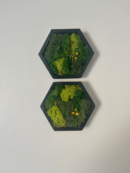 Hexagon Moss Wall Art - 5" by 6" - Green with Yellow Flowers