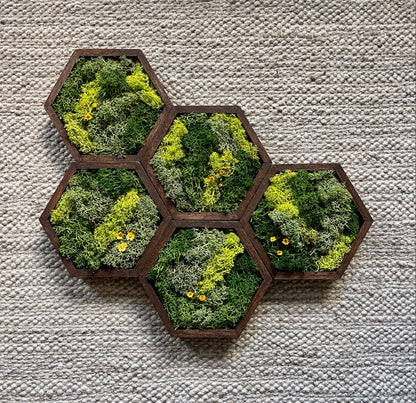 Hexagon Moss Wall Art - 5" by 6" - Green with Yellow Flowers