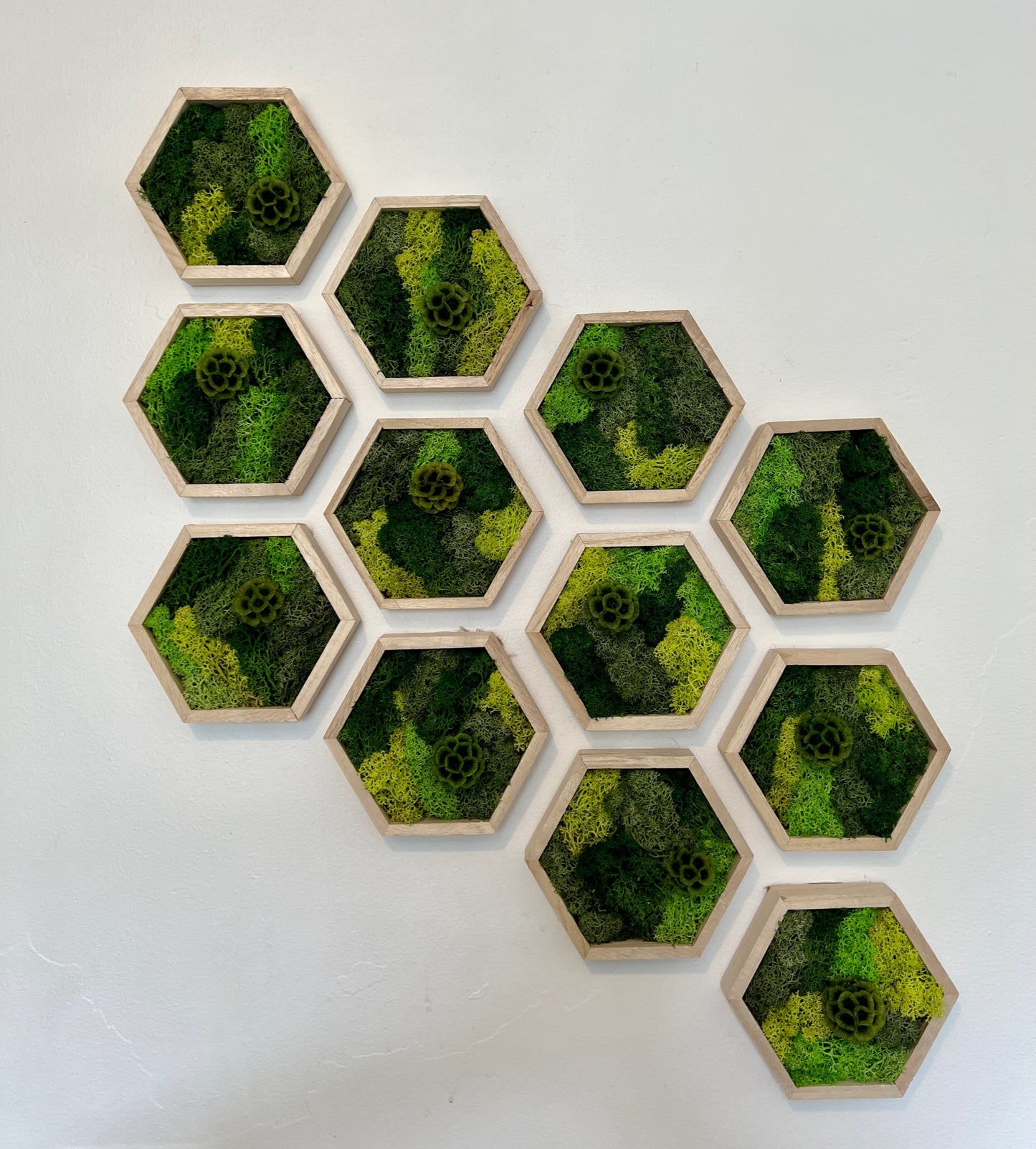 Shades of Green & Scabiosa Flowers - Hexagon - Walnut