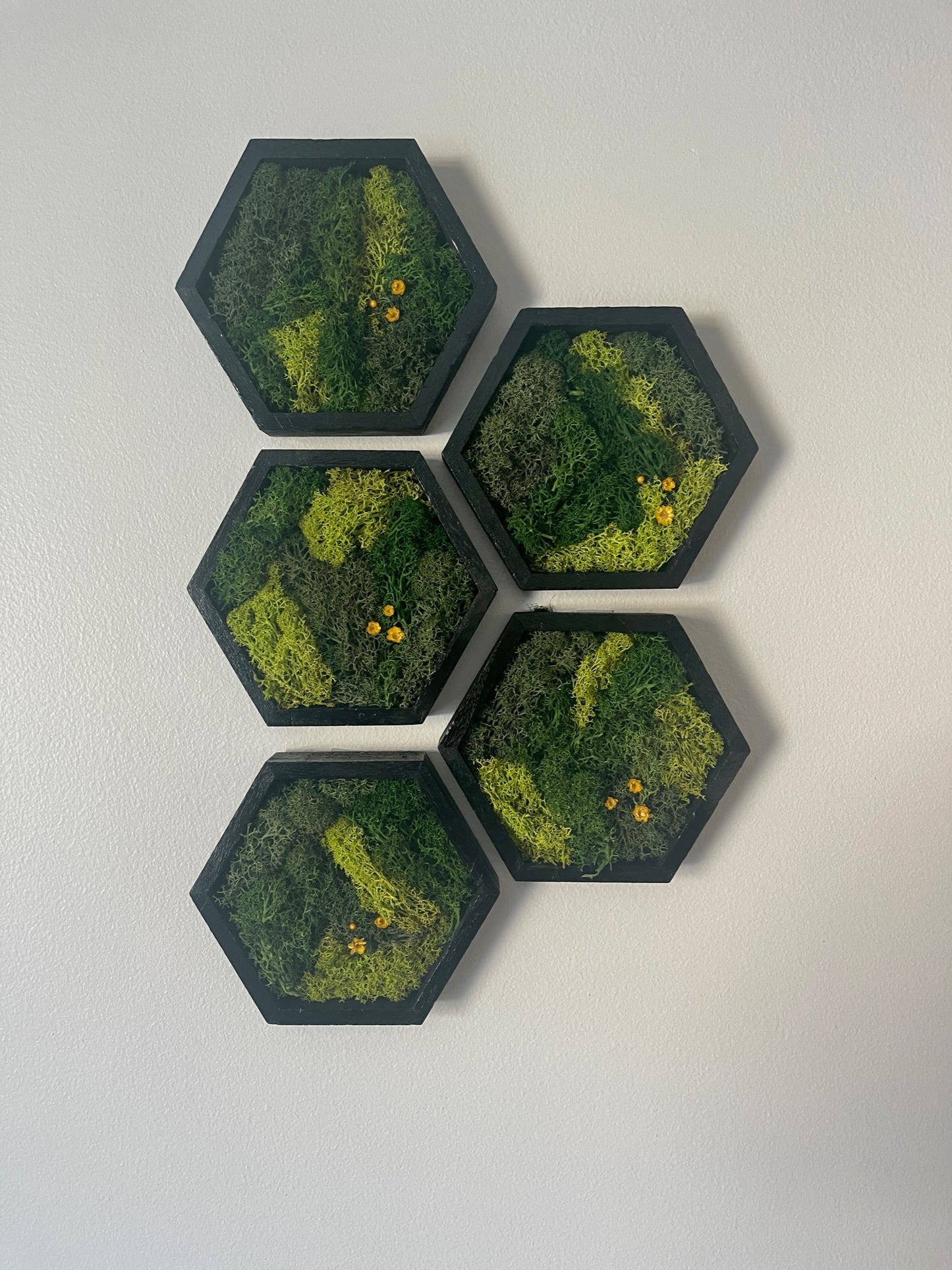 Hexagon Moss Wall Art - 5" by 6" - Green with Yellow Flowers