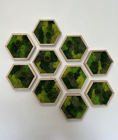 Shades of Green & Scabiosa Flowers - Hexagon - Walnut