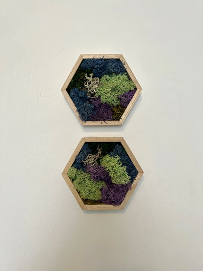 Green, Blue, Purple & Bark - 5" by 6" - Hexagon - Reindeer Moss Collection