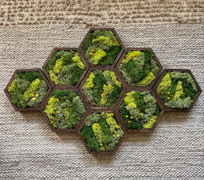 Hexagon Moss Wall Art - 5" by 6" - Green with Yellow Flowers