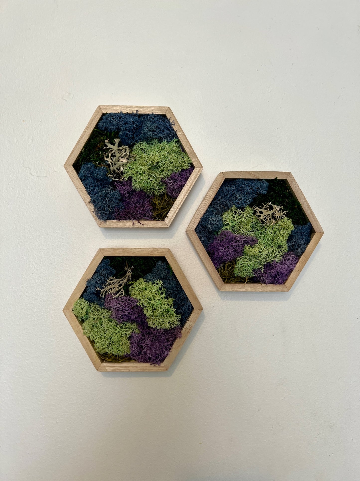 Green, Blue, Purple & Bark - 5" by 6" - Hexagon - Reindeer Moss Collection