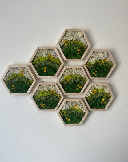 Meadow - Hexagon - Dark Green, Spring Green & White