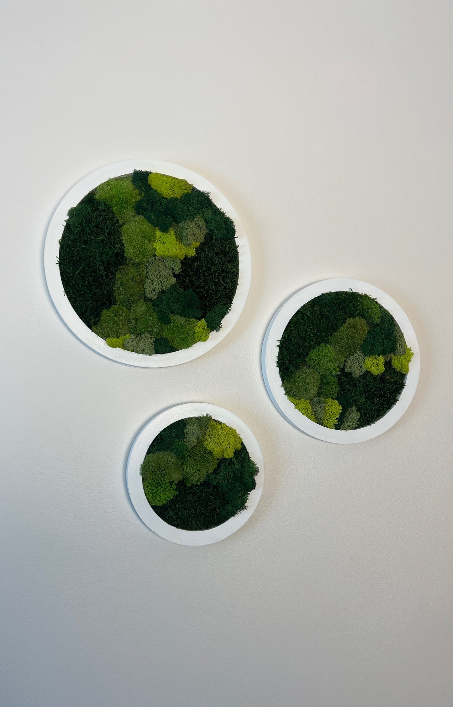 Circle Trio - Shades of Green - White Frame