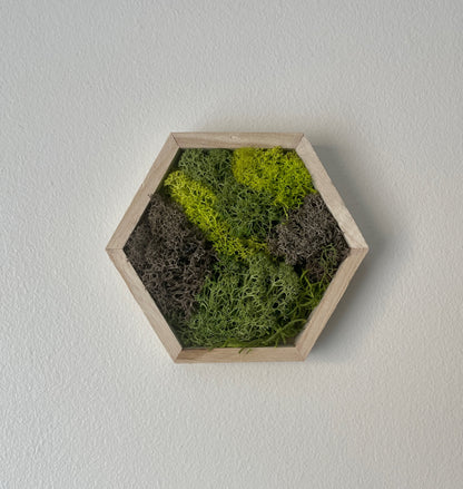 Greens & Brown - Hexagon - 5" by 6" - Reindeer Moss Collection