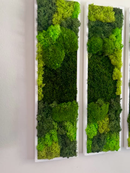 Long Rectangle Preserved Moss Decor - 18" by 5" - Pole & Reindeer Moss