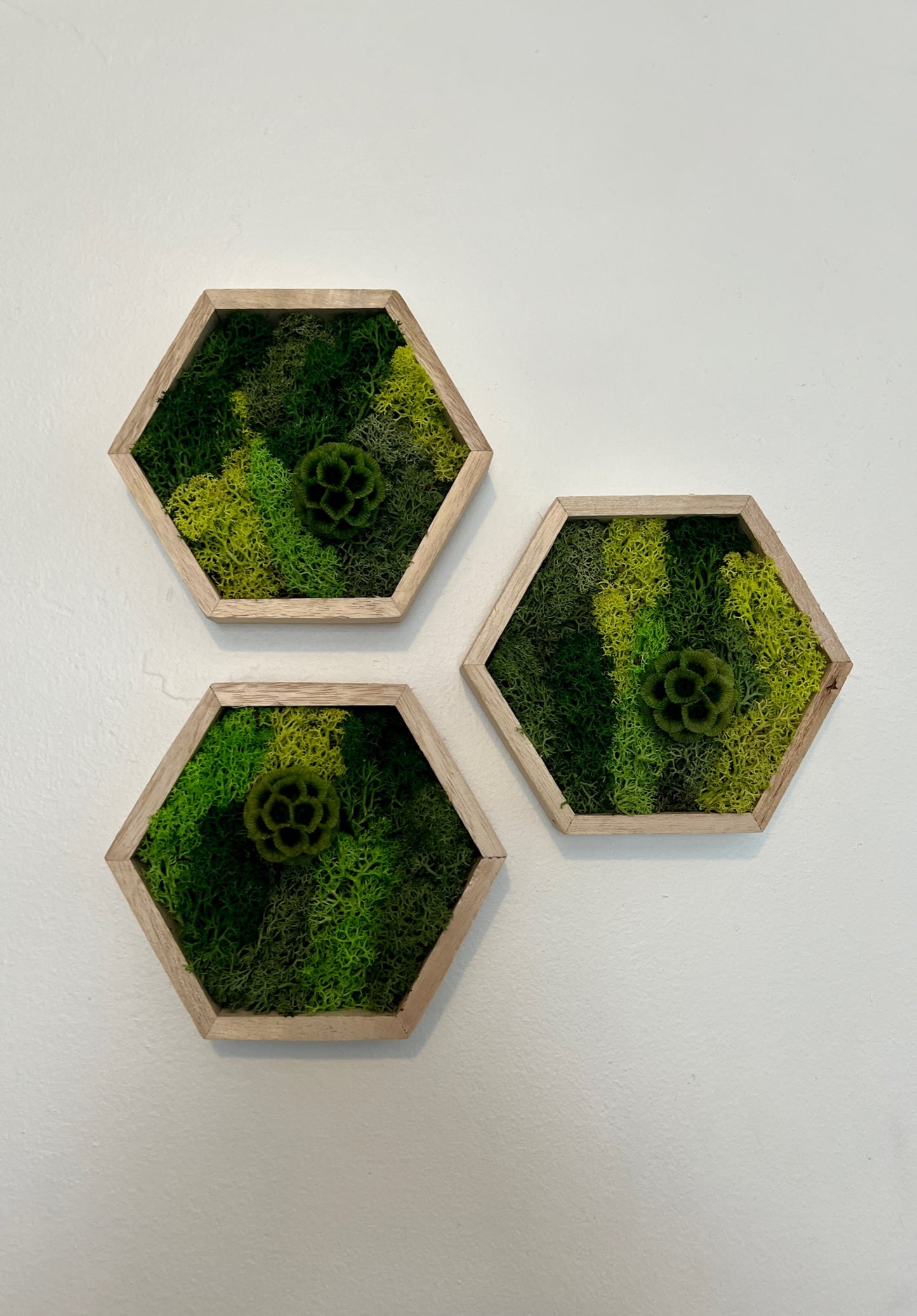 Shades of Green & Scabiosa Flowers - Hexagon - Walnut