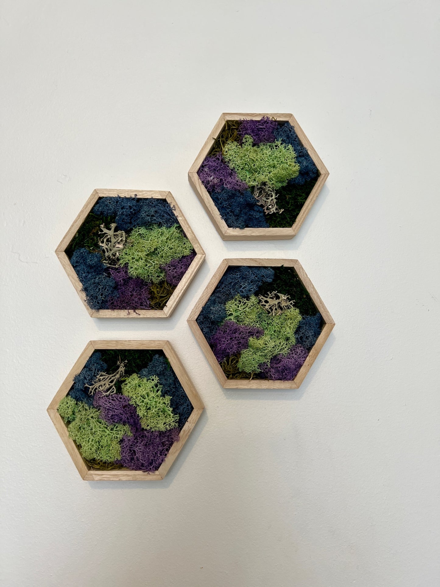 Green, Blue, Purple & Bark - 5" by 6" - Hexagon - Reindeer Moss Collection