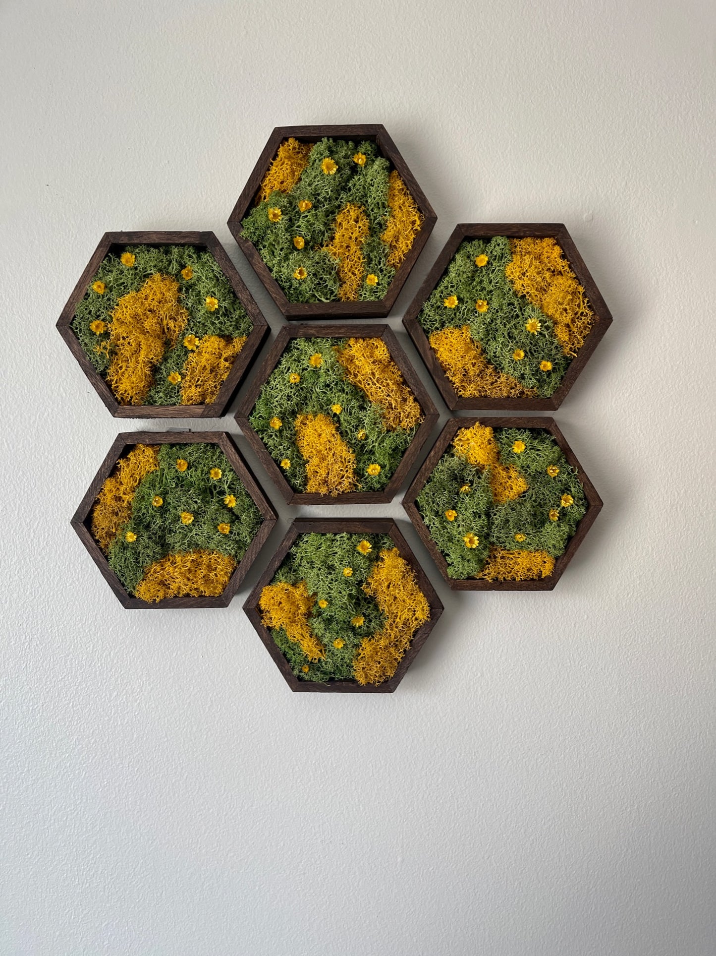 Hexagon Moss Wall Art - 5" by 6" - Green and Yellow/Orange Reindeer Moss